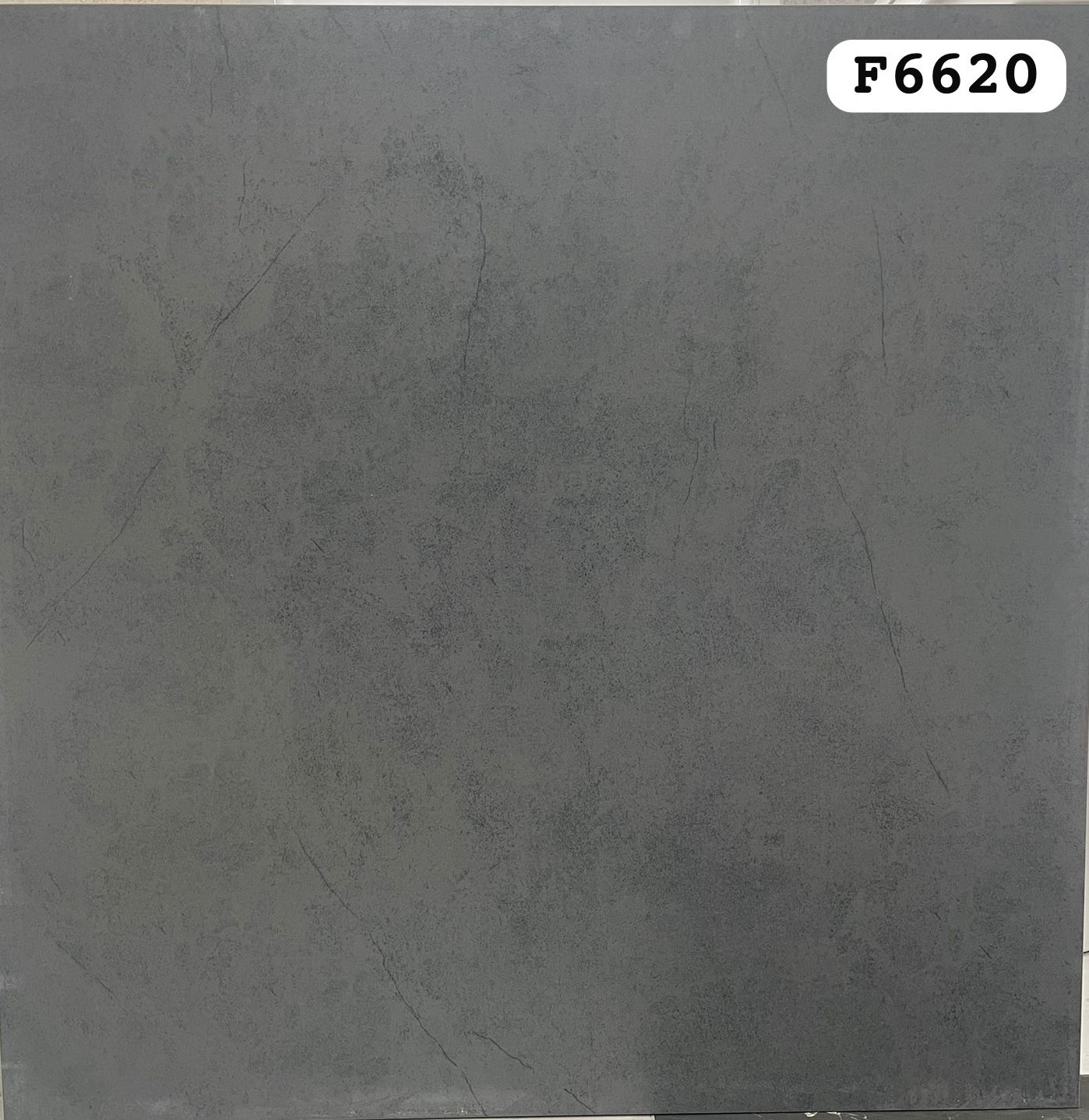 картинка Керамогранит F6620 (60*60), м2 магазин Gracia являющийся официальным дистрибьютором в России картинка Керамогранит F6620 (60*60), м2 от магазина Gracia